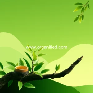 Read more about the article Organic Tea Tree Oil Market to Grow to USD 3  4 Billion by 2032