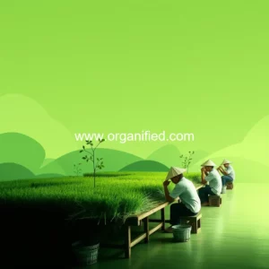 Read more about the article Vietnam needs transformation to green production to facilitate exports to EU : workshop