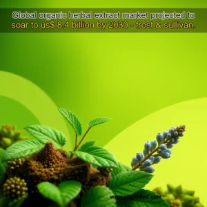 Read more about the article Global organic herbal extract market projected to soar to us$ 8.4 billion by 2030 – frost & sullivan.