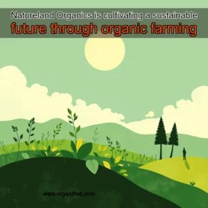 Read more about the article Natureland Organics is cultivating a sustainable future through organic farming