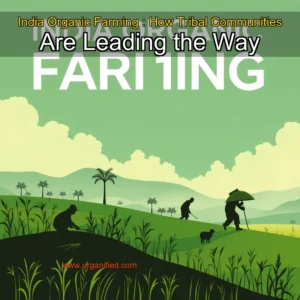 Read more about the article India Organic Farming : How Tribal Communities Are Leading the Way