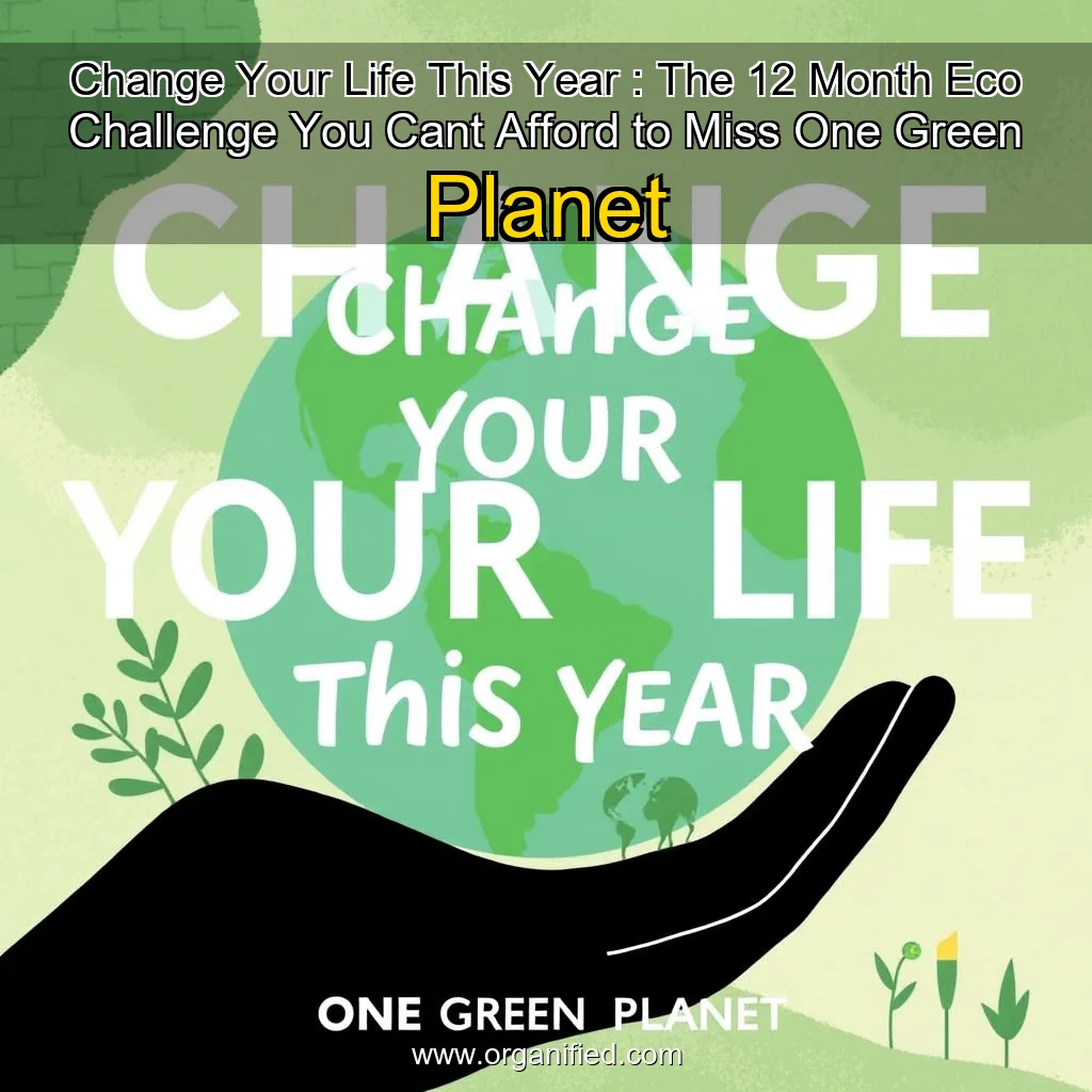 Read more about the article Change Your Life This Year : The 12  Month Eco  Challenge You Cant Afford to Miss  One Green Planet