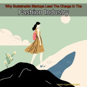 Read more about the article Why Sustainable Startups Lead The Charge In The Fashion Industry