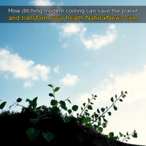 Read more about the article How ditching modern cooling can save the planet and transform your health  NaturalNews  com