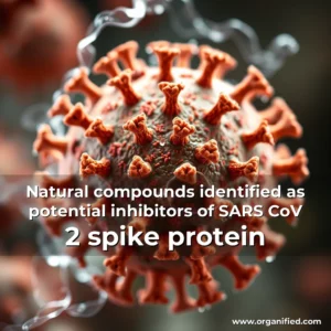 Read more about the article Natural compounds identified as potential inhibitors of SARS  CoV  2 spike protein