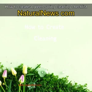 Read more about the article How to create a green spring cleaning checklist  NaturalNews  com