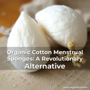 Read more about the article Organic Cotton Menstrual Sponges: A Revolutionary Alternative