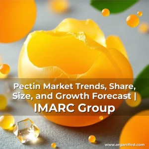 Read more about the article Pectin Market Trends, Share, Size, and Growth Forecast | IMARC Group
