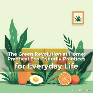 Read more about the article The Green Revolution at Home: Practical Eco-Friendly Practices for Everyday Life